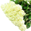 The photograph showcases a sumptuous cluster of white roses, gathered tightly into a rounded bouquet that seems to glow against a simple, bright backdrop. Each blossom ranges from half-open to luxuriously full, with petals that glide from soft white at the edges to a warmer, creamy ivory near the centre. The roses form a dense canopy of overlapping spirals, creating a sense of depth and richness that draws the eye inward, as if you could almost feel the silky texture beneath your fingertips. Light falls evenly across the flowers, mimicking daylight streaming into a North Watford sitting room, and it creates delicate highlights on the upper petals while leaving gentle shadows in the inner whorls. Scattered between the blooms, slender hints of dark, glossy green foliage peek through, reinforcing the freshness of the arrangement and offering a subtle contrast that makes the whites appear even more radiant. The stems below are mostly obscured but clearly robust, supporting the generous head of roses like a carefully balanced bouquet ready for delivery. The overall impression is one of purity, calm, and heartfelt intention-a timeless gathering of white roses suitable for a wedding portrait, a milestone anniversary in a family home near Cassiobury Park, or a sympathy arrangement that brings quiet solace. It feels like the kind of classic design a local North Watford florist would prepare with great care, checking each bloom so the bouquet arrives as a pristine, fragrant expression of love, remembrance, or hope.